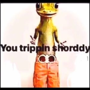 Meet your Posher, Antwon